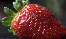 摘草莓开心的句子