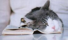 睡前开心的句子