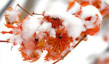 心烦没人陪聊天的句子