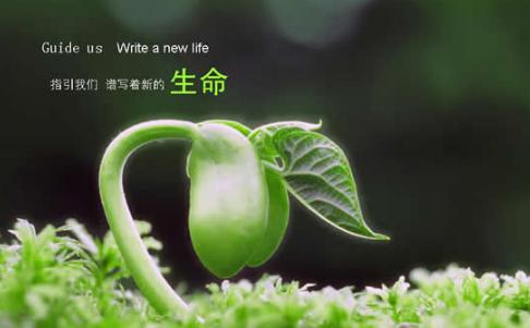 1、生命不等于是呼吸