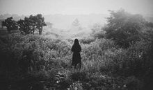 对生父母失望心寒的句子