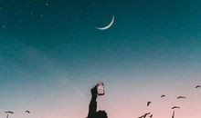 对感情心碎的句子