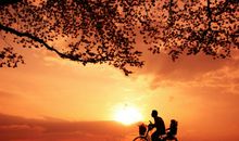 关于父亲的亲情句子