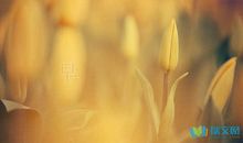 早上跟女朋友说的早安句子