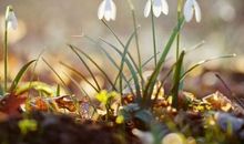 写友情的文艺经典句子素材