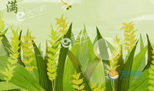 小满的祝福语