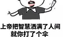 骂人不带脏字的话