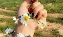 高雅有意境的句子 高雅有内涵说说