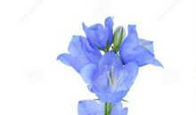 能逗自己开心的句子