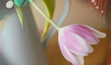 学会控制自己的情绪的说说