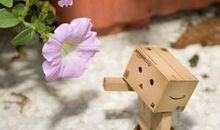 明明知道不可能,却始终做不到释然