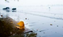 关于描写秋雨的