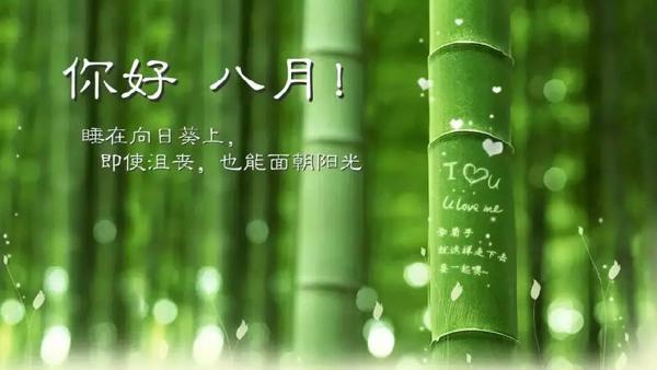  8月