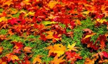 关于幸福生活的经典句子