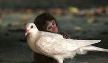 文艺句子关于亲情