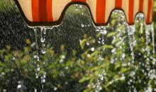 关于夏雨的优美句子