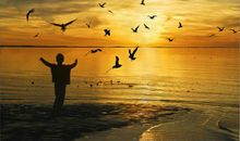 感悟人生的经典句子第九期