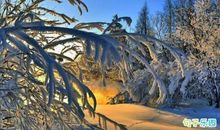 唯美的冬至祝福语 冬至暖心祝福语大全