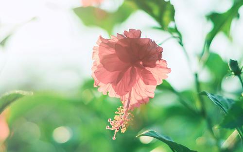 您就会感到越快乐