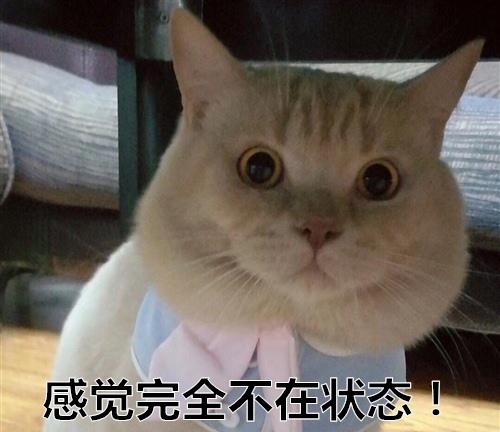 有时候