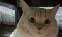 完全不在状态的的说说