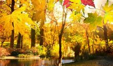 歌颂母亲的诗词