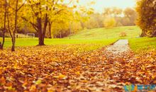 描写秋景的句子