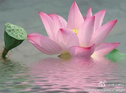 节俭是营养