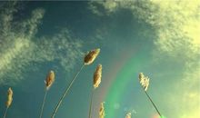 有关赞美亲情的诗句