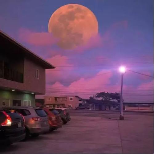 要坚强