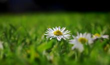 关于亲情那么珍贵的句子