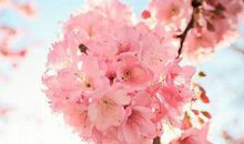 很在乎一个人的句子 深爱一个人的句子