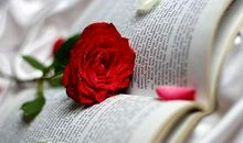 关于劝朋友开心的句子