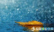 雨的拟人句子