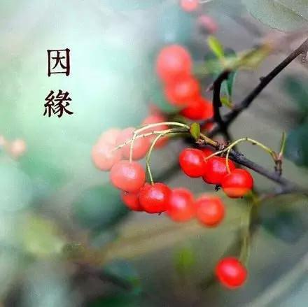    关于业力的业力20句（2）  1