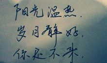 优美的句子大全