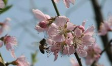 春游开心的句子