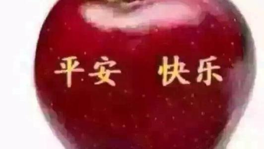 该怎么办