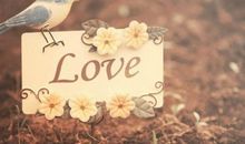 一句话打动人心爱情短句