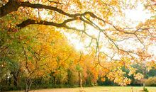 庆祝自己十八岁的说说 关于十八周岁生日的说说