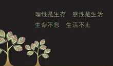 女生励志的个性签名