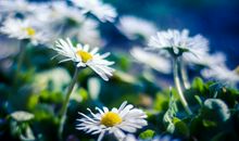 描写坏心情的句子精选