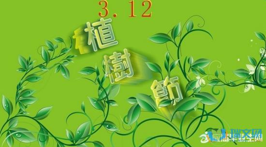 一个人种了一棵树