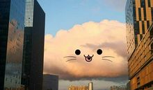 适合世界微笑日发朋友圈的说说