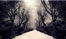 让家人对我失望的句子