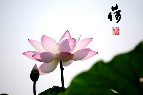 回忆那一年不仅是在思考过去