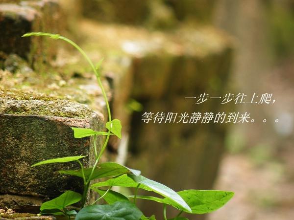 第十个时期的经典句子     1