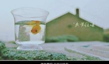 人在最难的时候简单说说