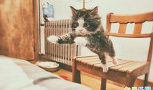 早安发的搞笑句子 搞笑早上好的说说心情