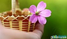 描写高兴的语言句子